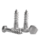 Ss 304 316 Hex Wood Screw with Zinc White DIN 571